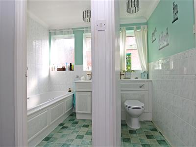 Picture 15